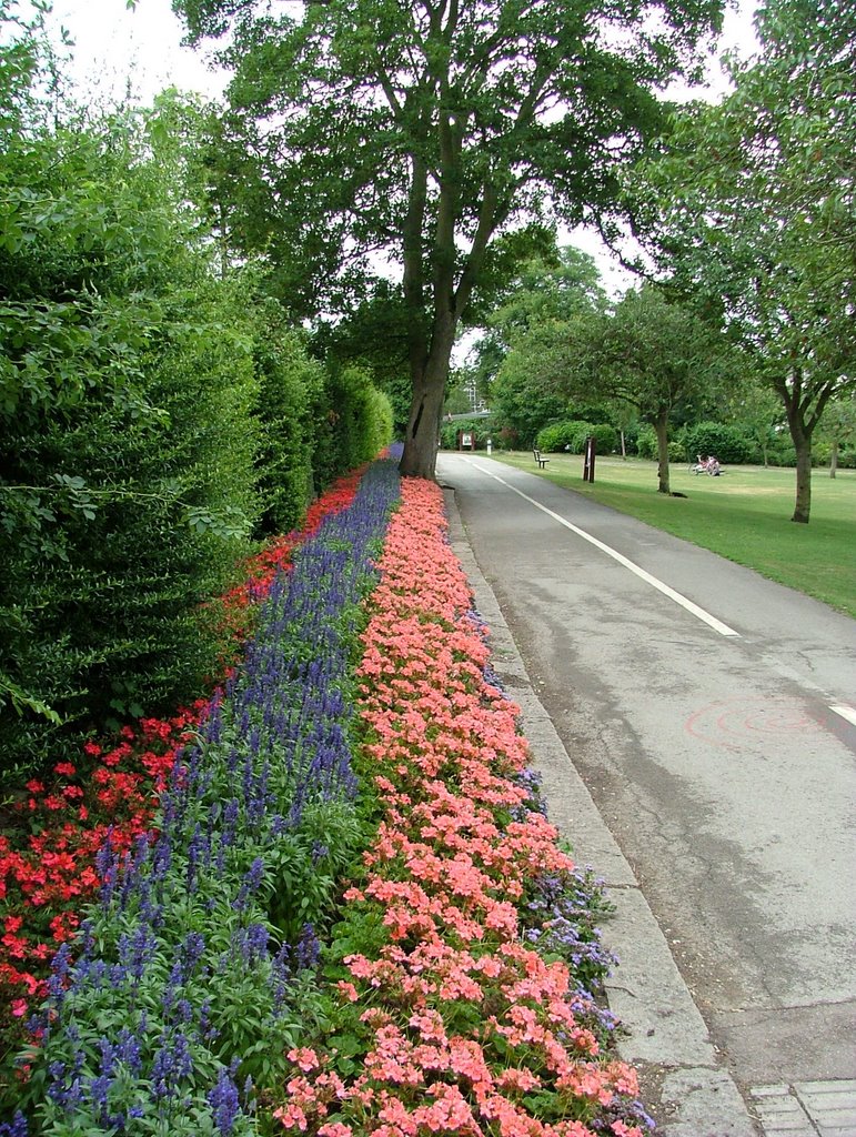 Gadebridge park