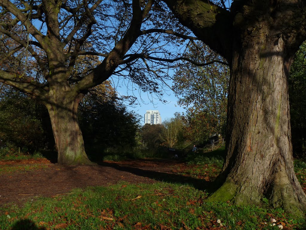 Kodak Building between chestnut trees (November 2013)