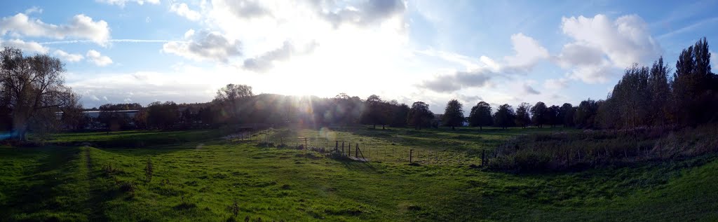 River Bulbourne, Boxmoor (November 2013)