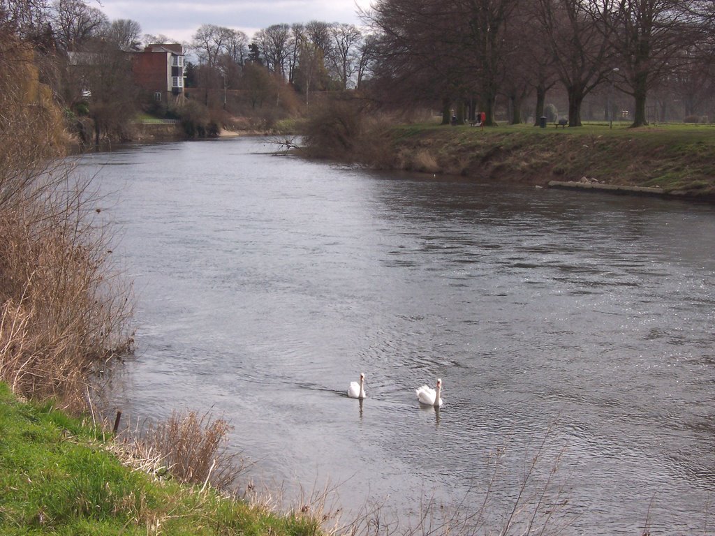 River Wye at Hereford