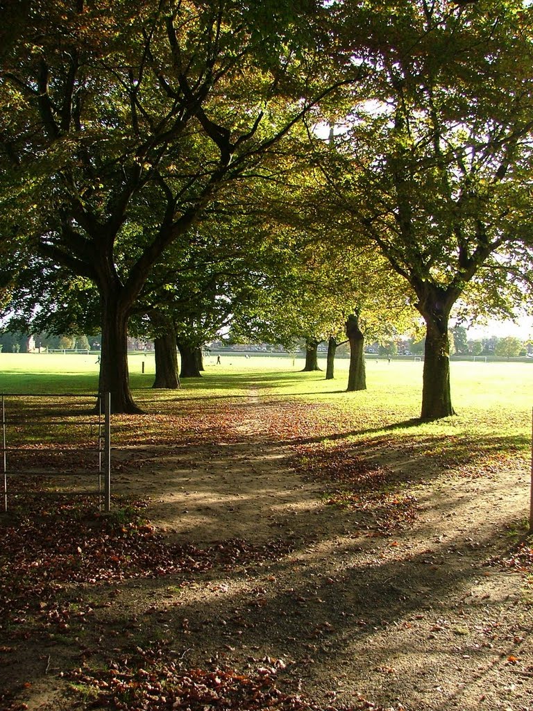 Walk by hereford park