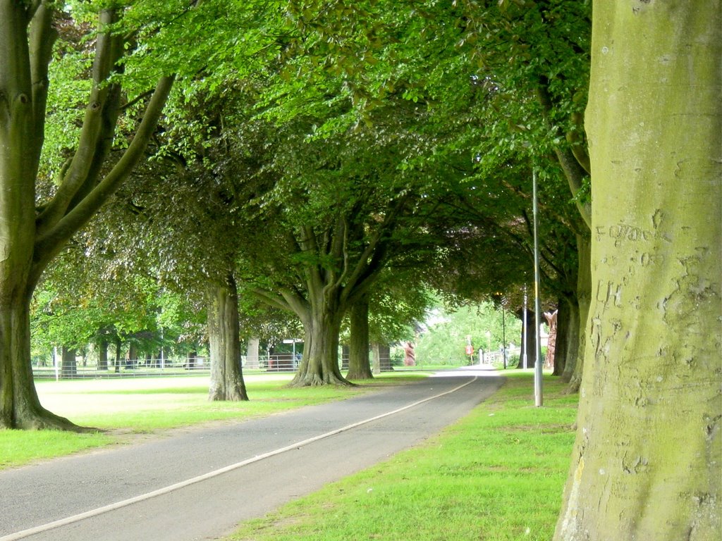 Hereford; park near victoria bridge