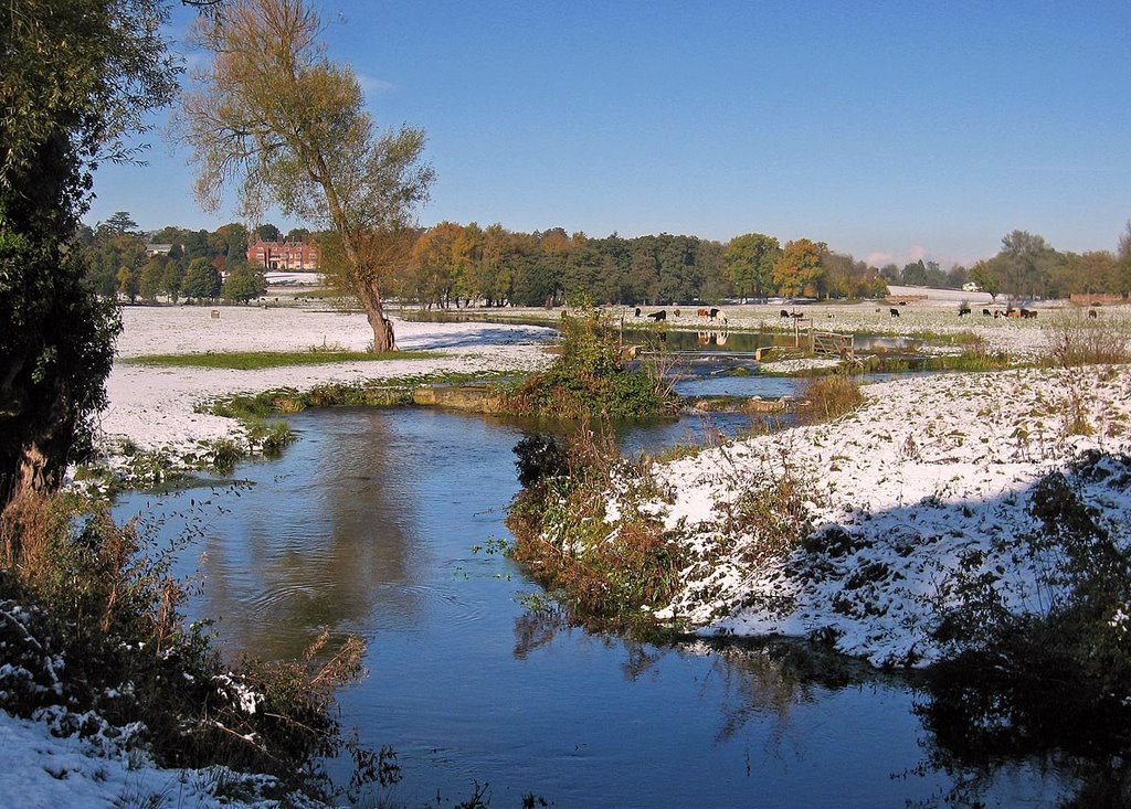 River Beane