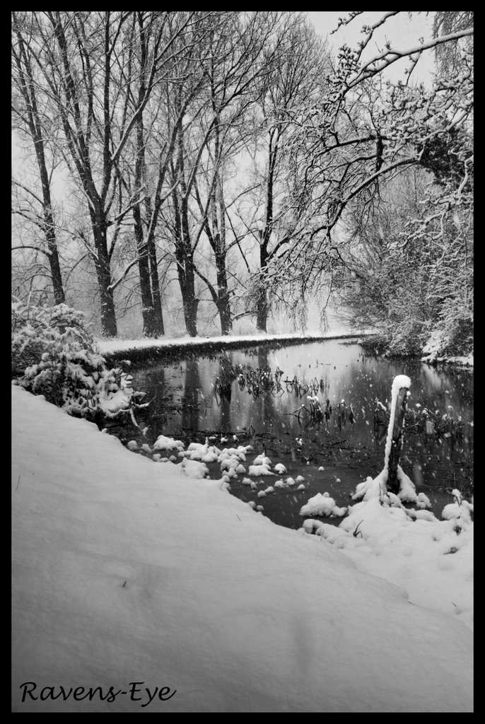 Snowbank b&w