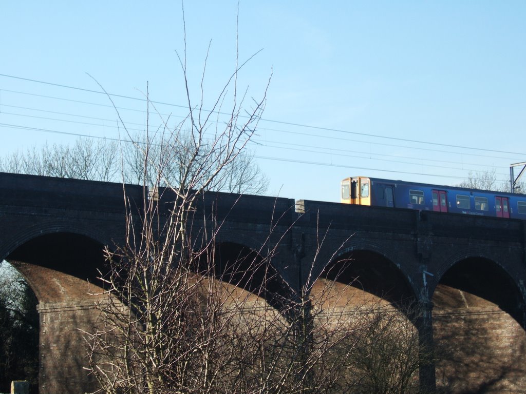 Train on Viaduct, Hertford