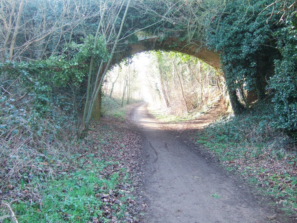 Cycle route 61, Near Hertford