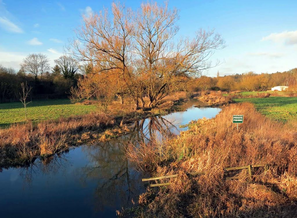 River Beane - Hertford