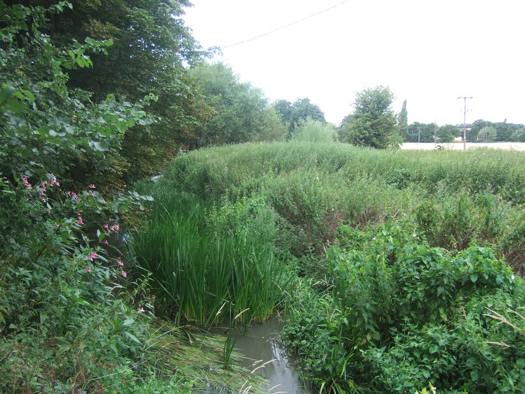 River Rib