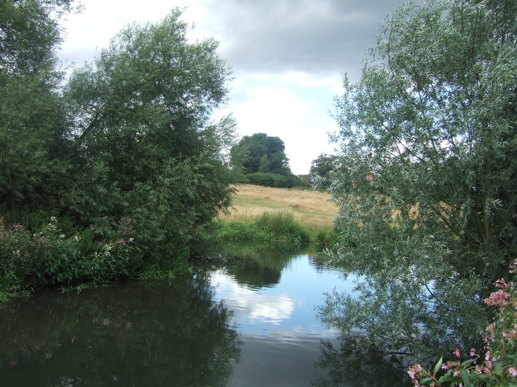 River Lee in Ware Park