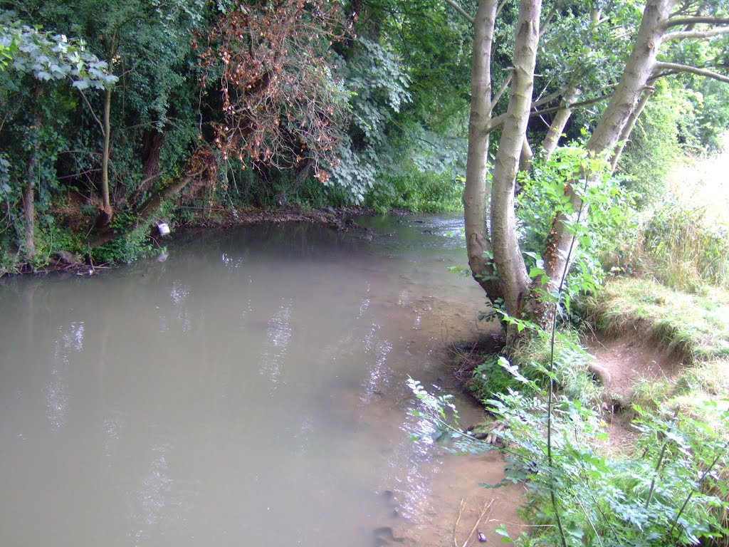 River Rib after overnight rain.