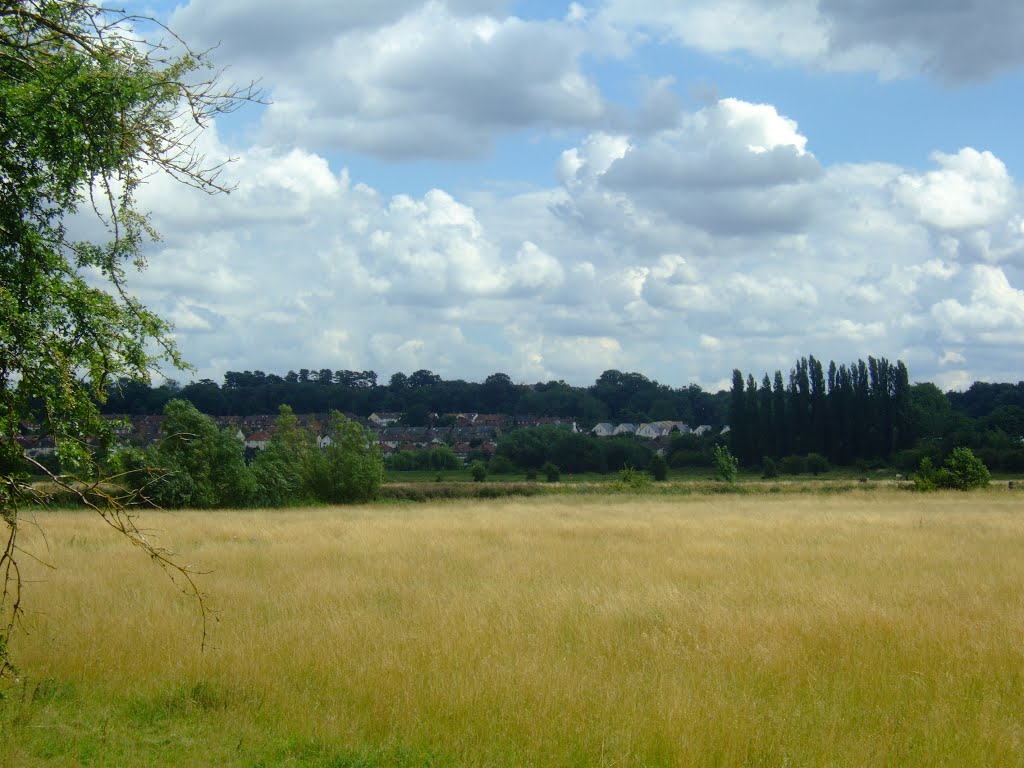 Looking across the Floodplain, across rivers Rib and Lee