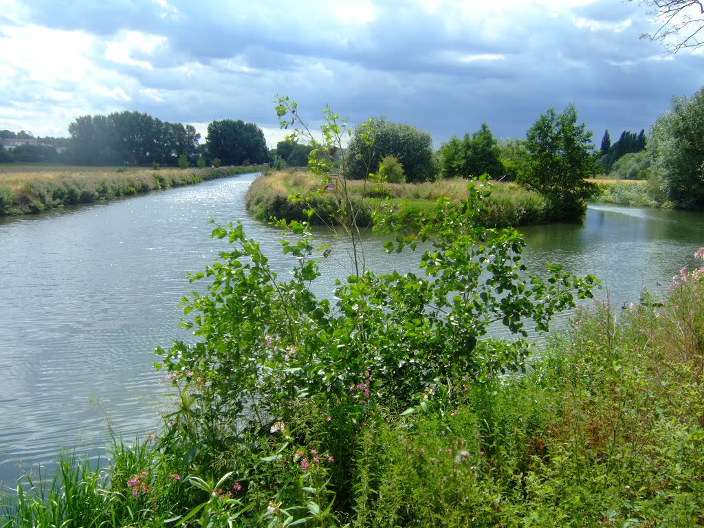 Confluence of Lee Navigation and River