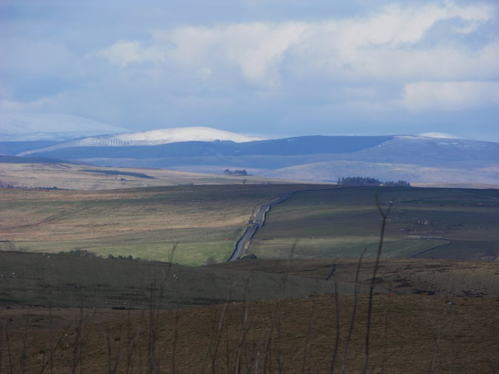 the distant Cheviot mountains....