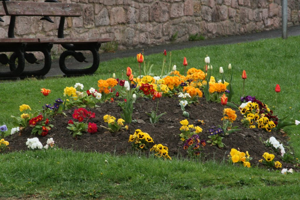 flower bed in Wooler
