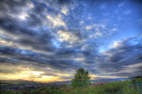 Wooler
