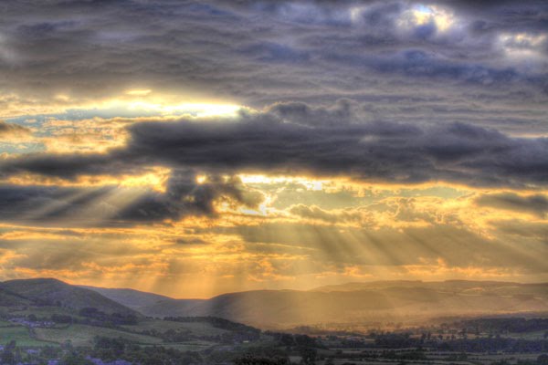 Wooler