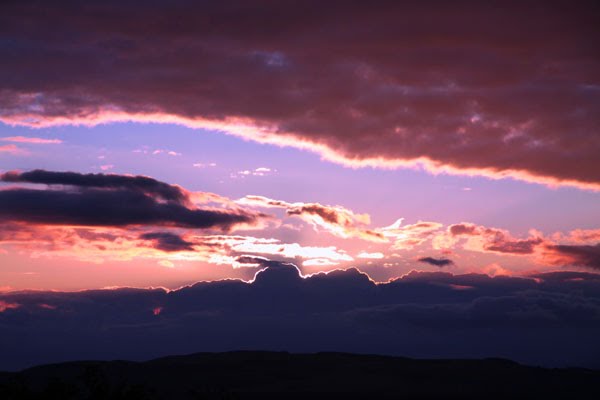 Wooler