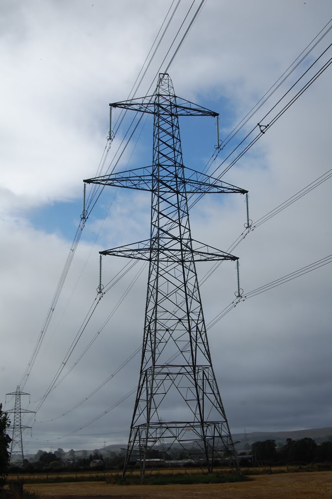 Overhead power lines