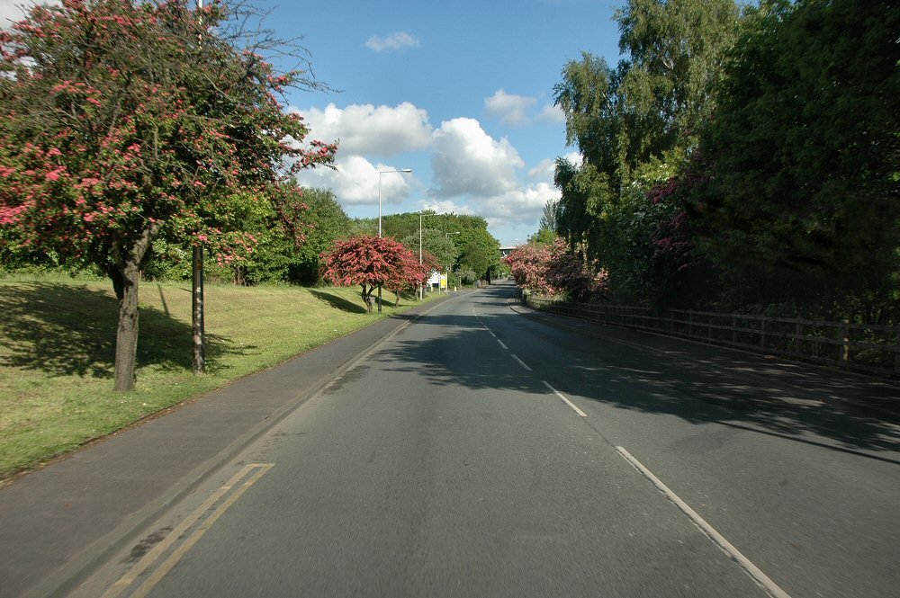No Traffic ! ! !