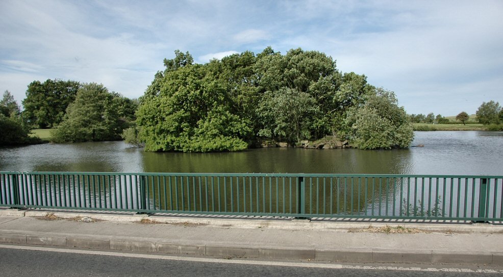 Hall Lane Pond