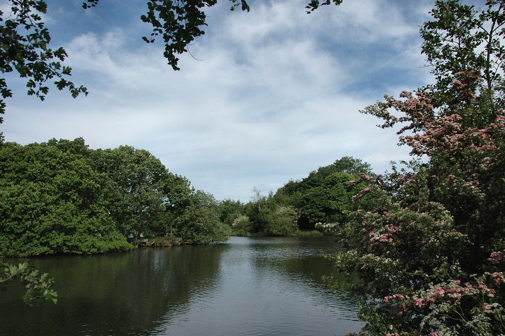 Hall Lane Pond 2