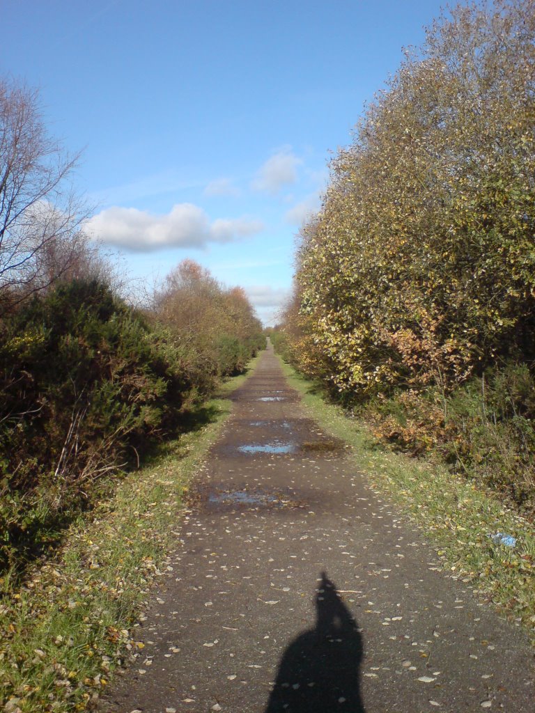 Hindley