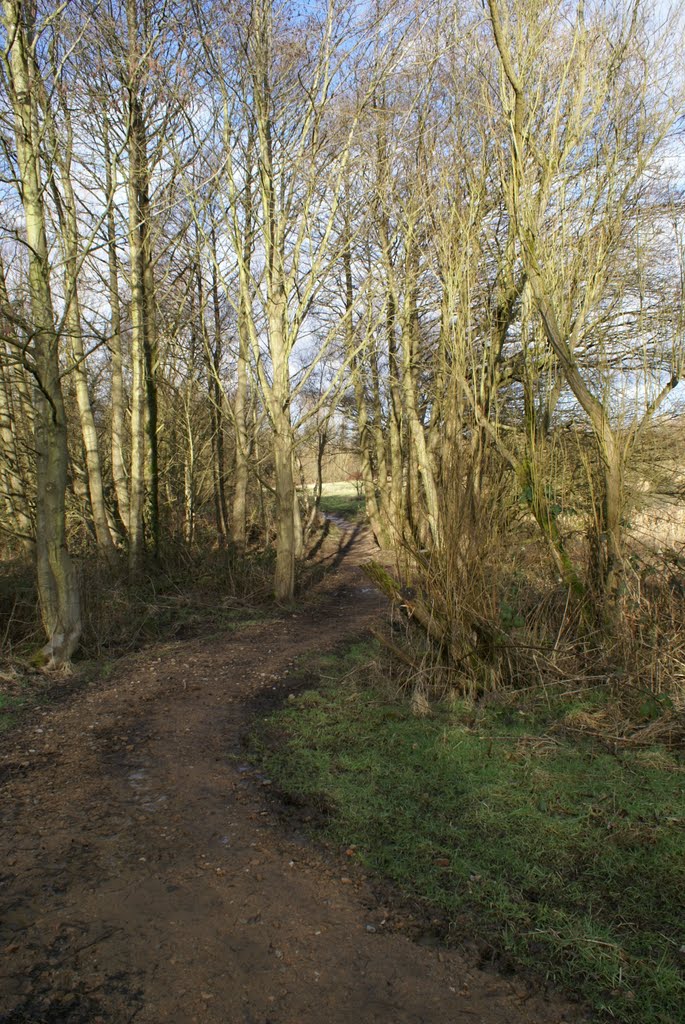 winter 2010 Nature reserve