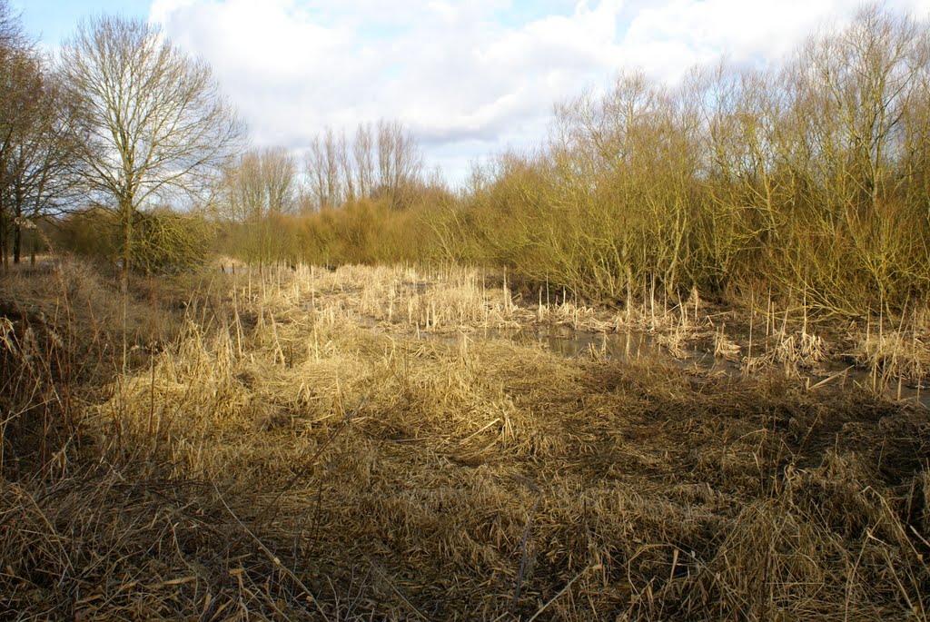 winter 2010 Nature reserve