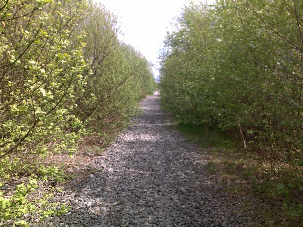 lkn W towards the bridge over the A58 at Platt Bridge