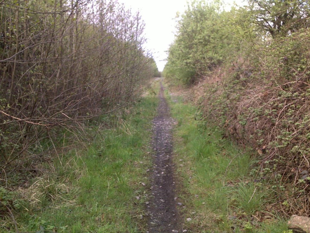 lkn N away from Bickershaw Ln Bridge