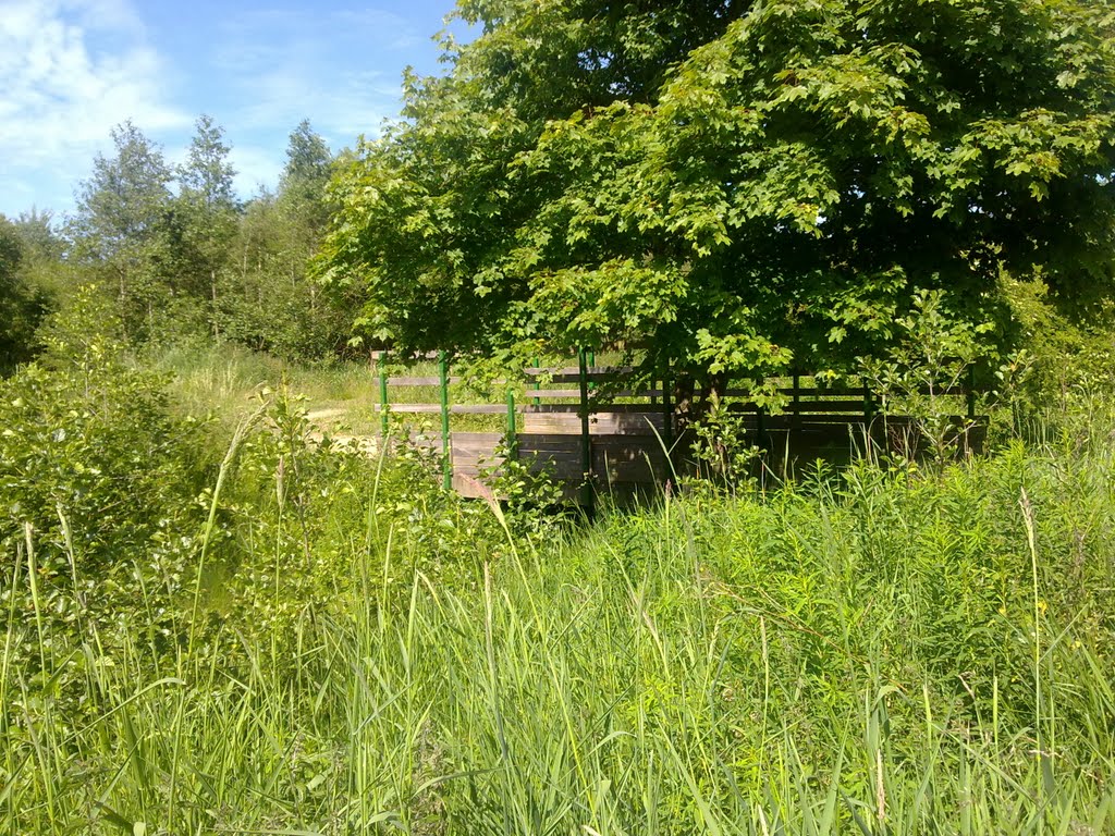 Country walk
