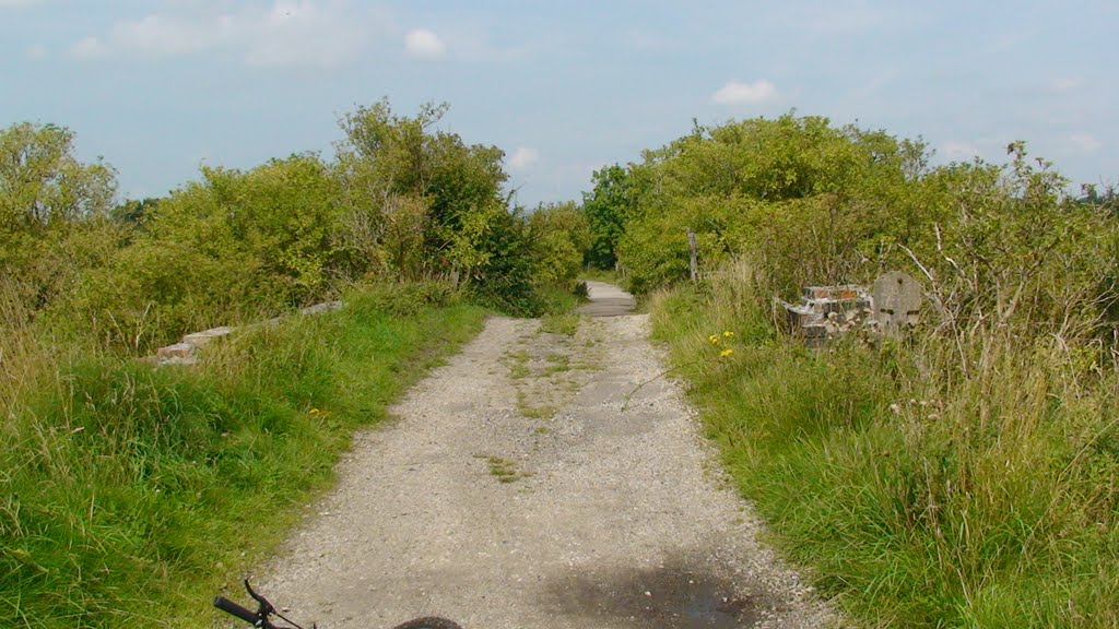 Lkn N over the top of the Bridge on the Hindley Green to Platt Br Line
