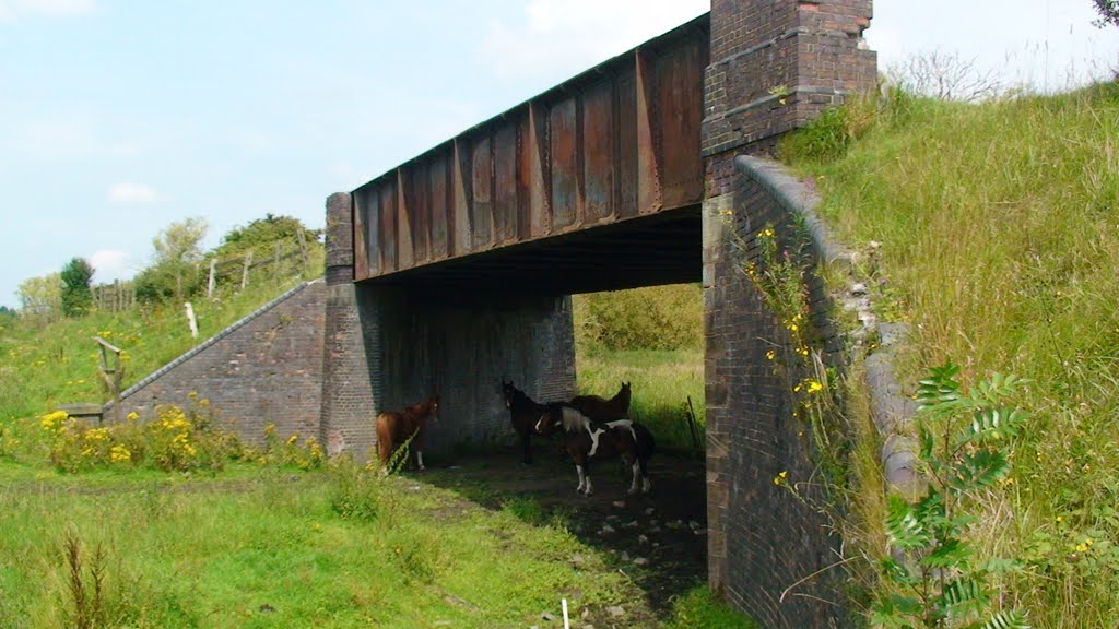 Lkn N under the angled Bridge on the Branching Section