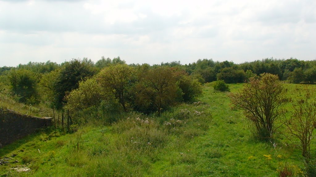 Lkn SW down the Branch towards the Platt Br-Bickershaw Line