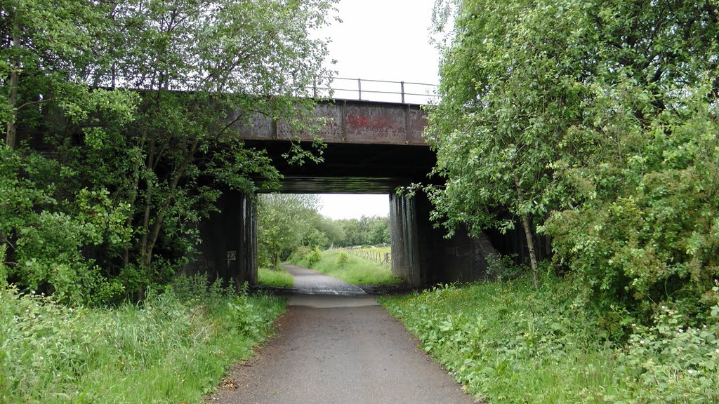 Lkn N on the former Whelley Loop Line at Hindley/Ince Main Line overbridge