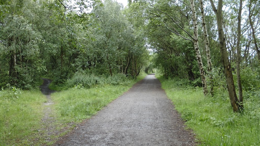 Lkn SE on the former Whelley Loop Line at De Trafford Junction