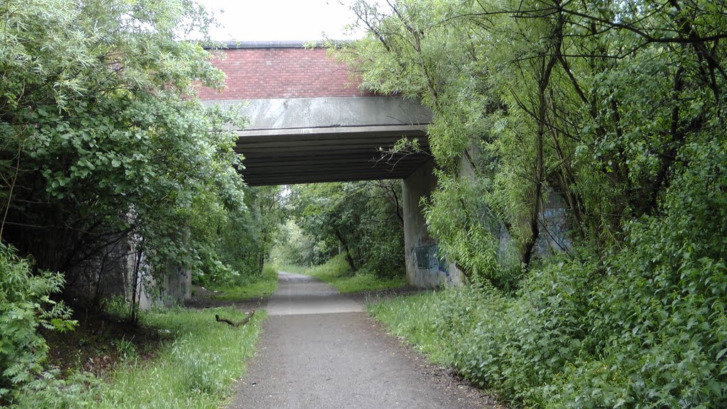 Lkn NW on the former Whelley Loop Line at the Makerfiied Way Road Bridge