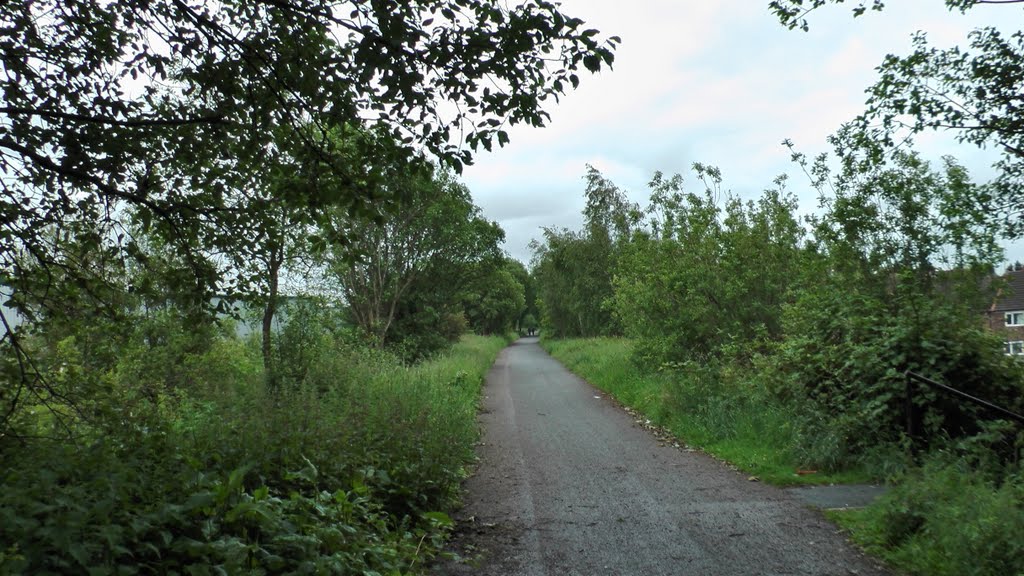 Lkn SE on the former Whelley Loop Line