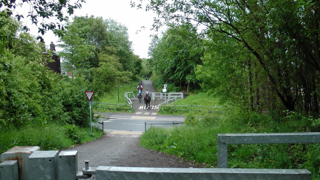Lkn SE on the former Whelley Loop Line at former Belle Green Ln Bridge