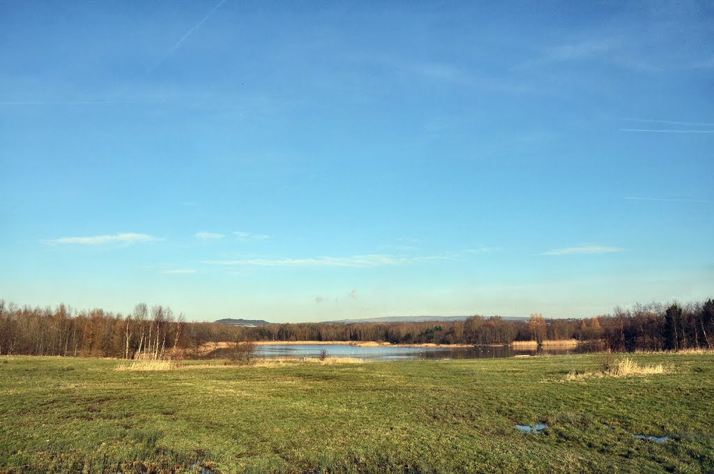 Amberswood land reclaimation site