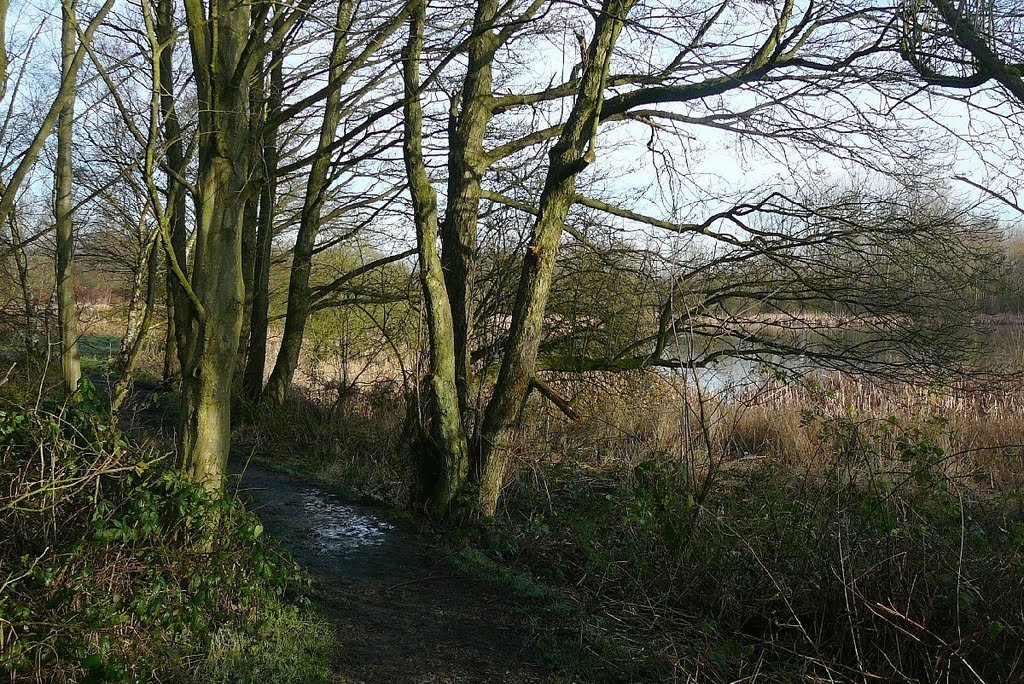 Pathway