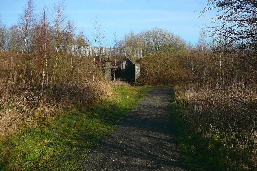 Track