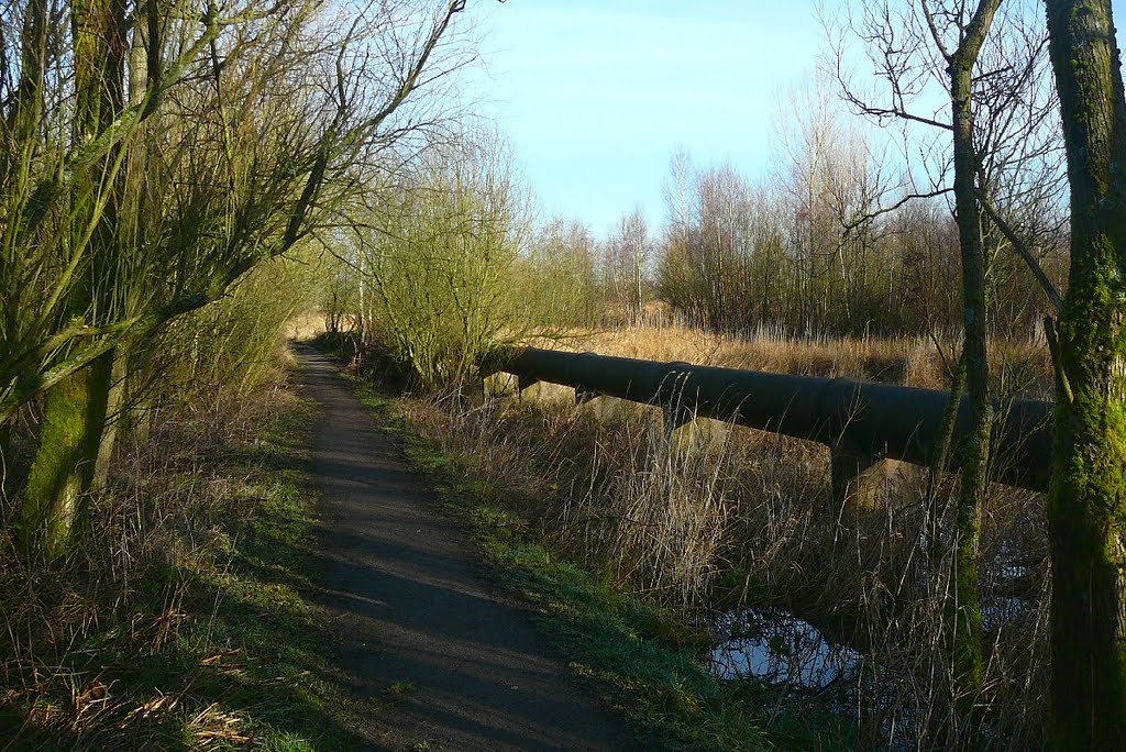 Pipeline