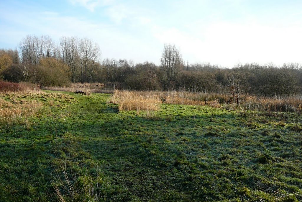 Picnic area
