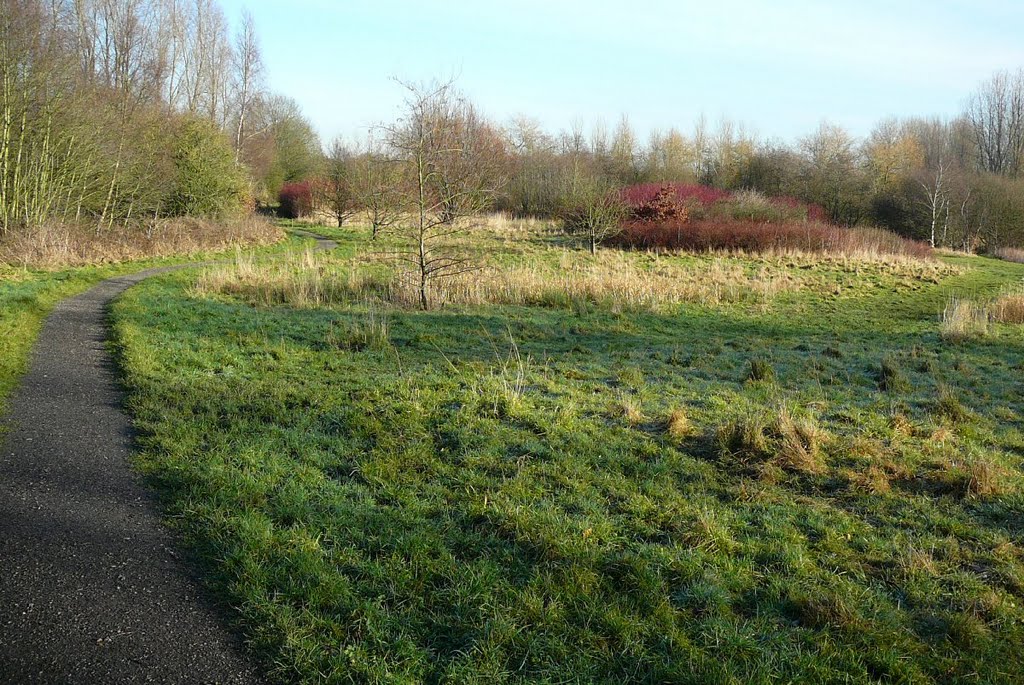 Path