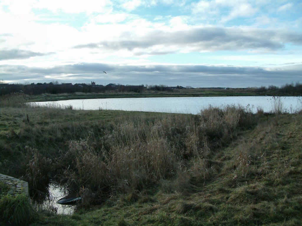 Amberswood lake
