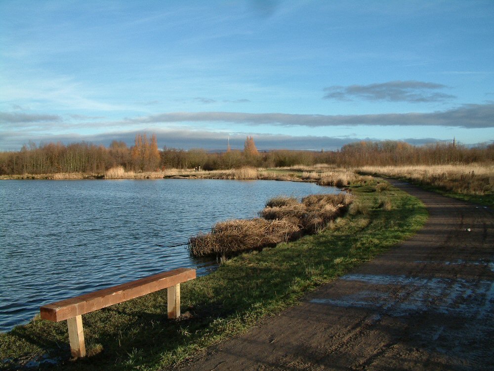 Amberswood lake 3