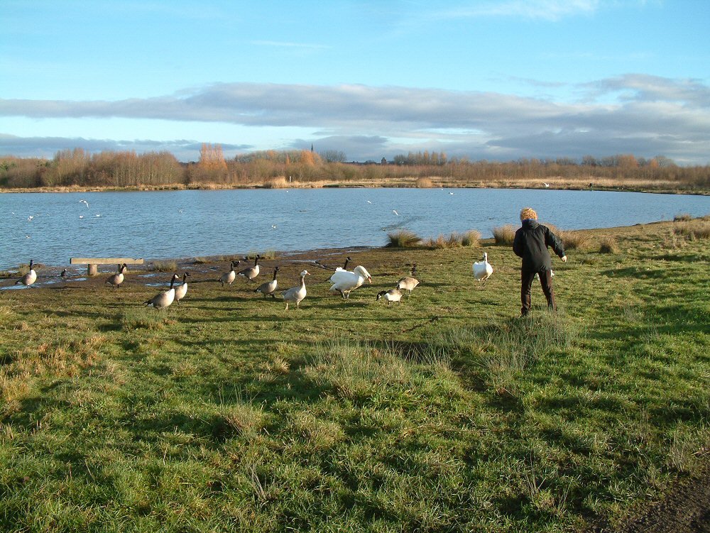 Amberswood lake 5