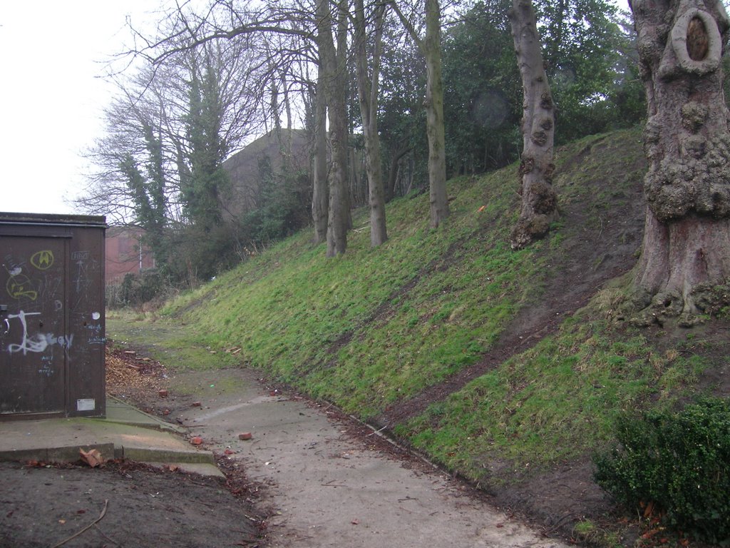 Hinkley Castle, The bailey banking