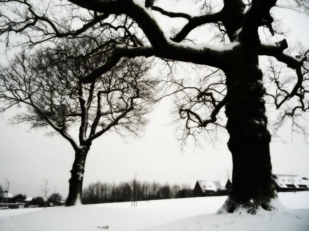 Royston drive Hinckley Leics UK